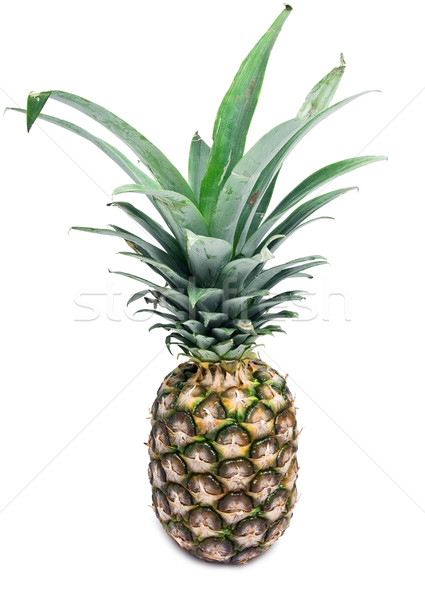 Ananas duży odizolowany biały owoców pomarańczowy Zdjęcia stock © sailorr