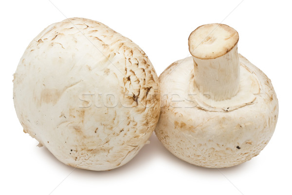 Champignon champignons fraîches isolé blanche alimentaire [[stock_photo]] © sailorr