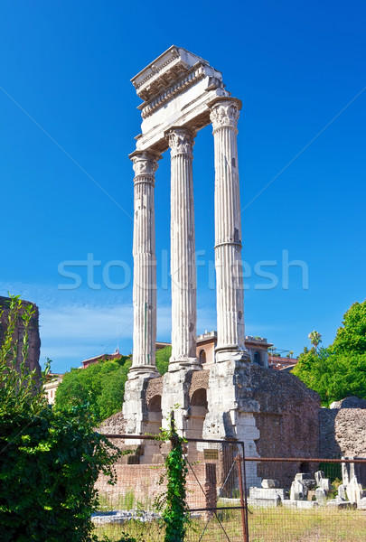 Roman Forum Ruinen berühmt alten Rom Stock foto © sailorr