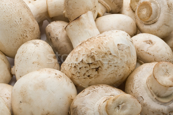 Сток-фото: шампиньон · грибы · Сырая · пища · шаблон · фон