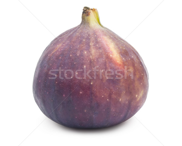 Fig Stock photo © sailorr