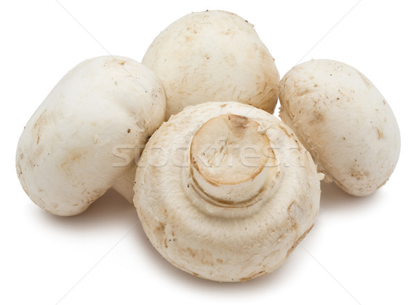 Champignon mantar taze yalıtılmış beyaz gıda Stok fotoğraf © sailorr