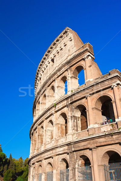 Colosseum in Rome Stock photo © sailorr