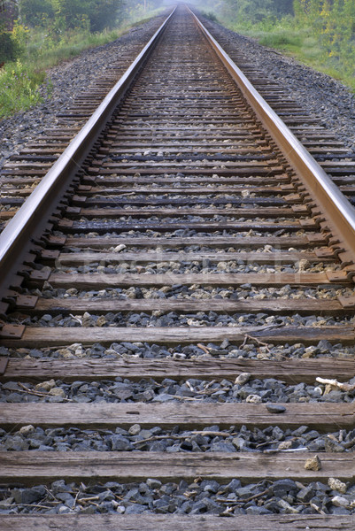 Railroad Tracks Running to the Horizon Stock photo © saje
