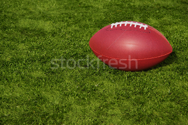Fußball ruhend künstliche Rasen Bereich Stock foto © saje