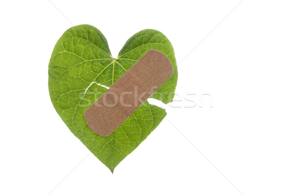 Heart Shaped Leaf Broken with Bandaid Stock photo © saje