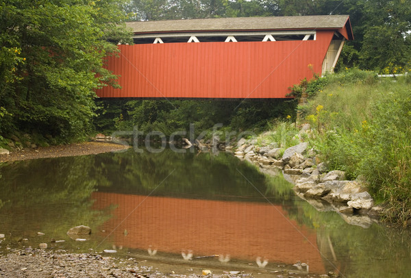 紅色 覆蓋 橋 流 山谷 公園 商業照片 © saje
