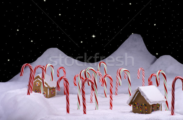 Navidad dulces forestales jengibre Foto stock © saje