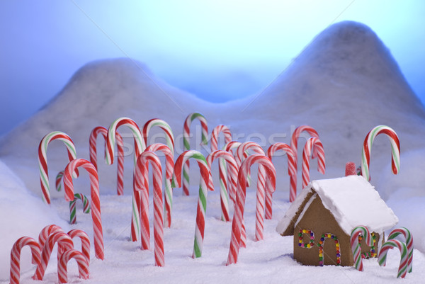 Рождества конфеты тростник лес синий закат Сток-фото © saje