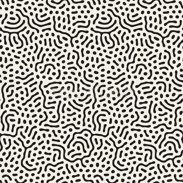 Vettore senza soluzione di continuità linee pattern bianco nero Foto d'archivio © Samolevsky