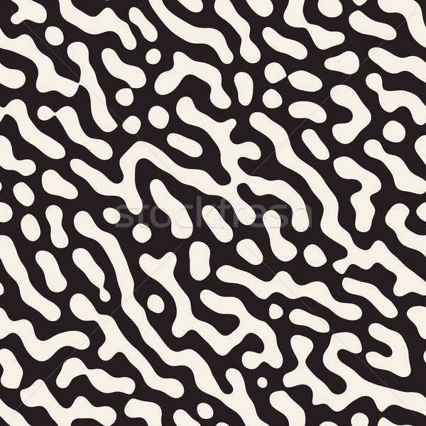 Vektor schwarz weiß zufällig Muster Design Stock foto © Samolevsky