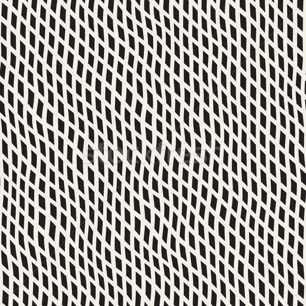 Hand Drawn Line Lattice. Vector Seamless Black and White Pattern. Stock photo © Samolevsky