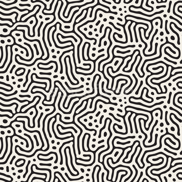 Vector naadloos zwart wit organisch lijnen patroon Stockfoto © Samolevsky