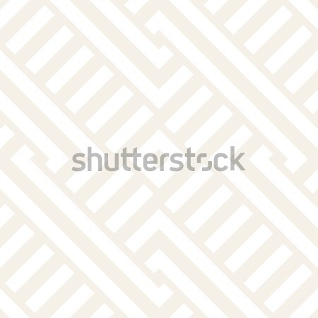 Interlacing Lines Subtle Lattice. Ethnic Monochrome Texture. Vector Seamless Black and White Pattern Stock photo © Samolevsky