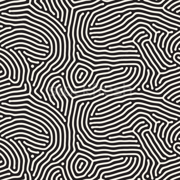 Organic Irregular Rounded Lines Vector Seamless Black and White Pattern. Stock photo © Samolevsky