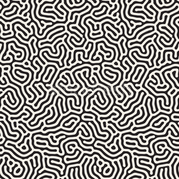 Vector Seamless  Organic Rounded Lines Maze Coral Pattern Stock photo © Samolevsky