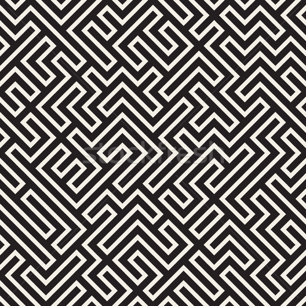 Irregular Mazy Lines. Vector Seamless Black and White Pattern. Stock photo © Samolevsky