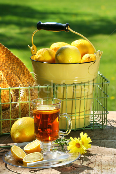 Kora reggel citrom tea kert étel test Stock fotó © Sandralise