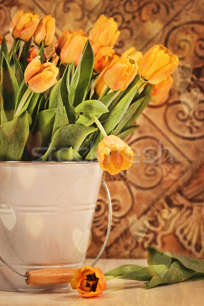 Сток-фото: тюльпаны · Vintage · Гранж · желтый · текстуры · природы