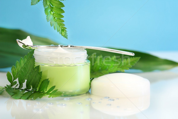 Rejuvenating face cream with ferns Stock photo © Sandralise