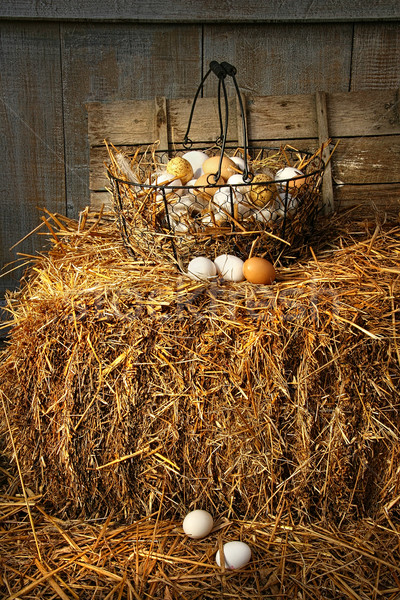 Foto stock: Cesta · huevos · paja · granero · alimentos