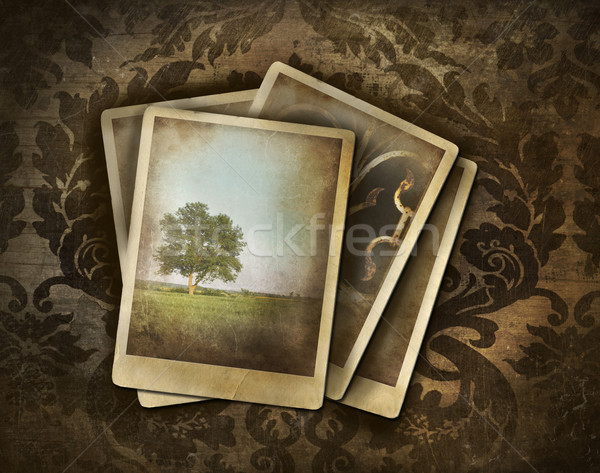 Vintage photos on dark damask background Stock photo © Sandralise