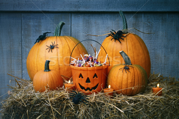 Pająki halloween candy słomy charakter Zdjęcia stock © Sandralise