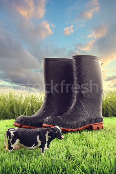 Gummistiefel Gras Spielzeug Kuh hellen Himmel Stock foto © Sandralise