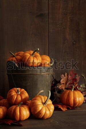 Pumpkins on table with menu board in background Stock photo © Sandralise