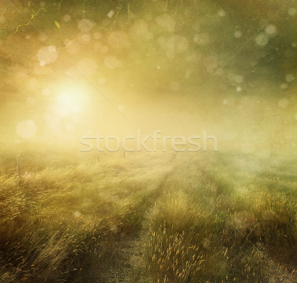 草原 ヴィンテージ 色 自然 風景 光 ストックフォト © Sandralise