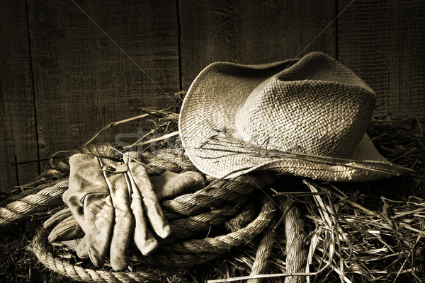 Stock photo: Straw hat with gloves on a bale of hay