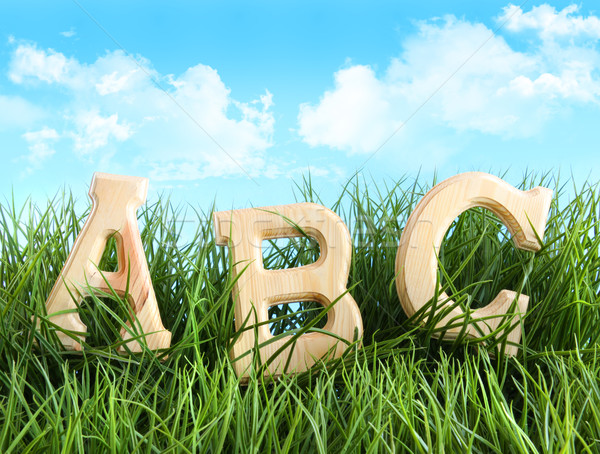 ABC letters in the grass Stock photo © Sandralise