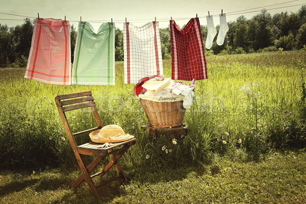 Waschen Tag Wäsche Wäscheleine Natur grünen Stock foto © Sandralise