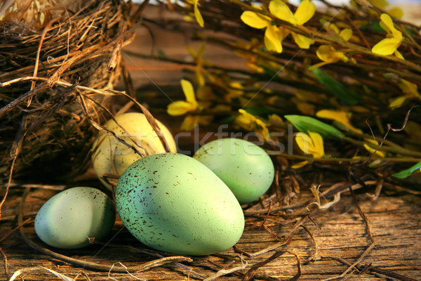 Mały Easter Eggs starych stodoła drewna Wielkanoc Zdjęcia stock © Sandralise