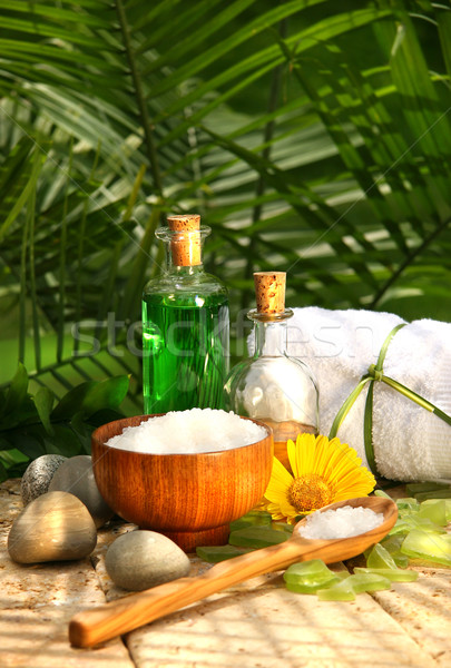 Bath salts and essential oils Stock photo © Sandralise