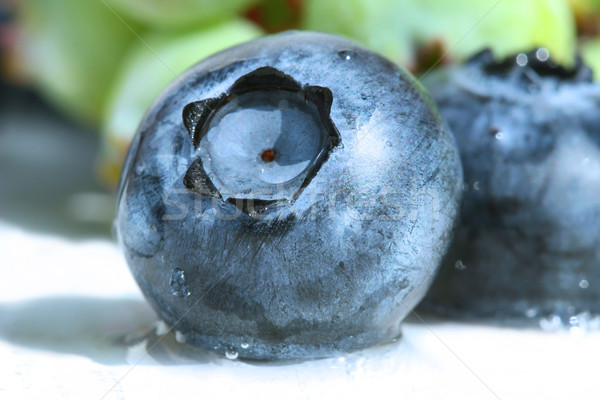 藍莓 質地 夏天 農場 黑色 商業照片 © Sandralise