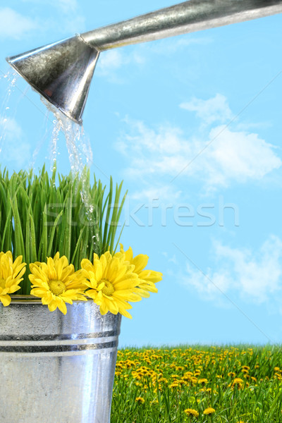 Watering flowers and grass for spring Stock photo © Sandralise