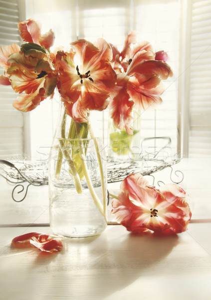 Foto stock: Frescos · primavera · tulipanes · edad · leche · botella