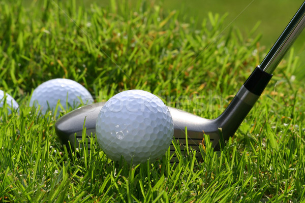 Golf club pratique sport été [[stock_photo]] © Sandralise