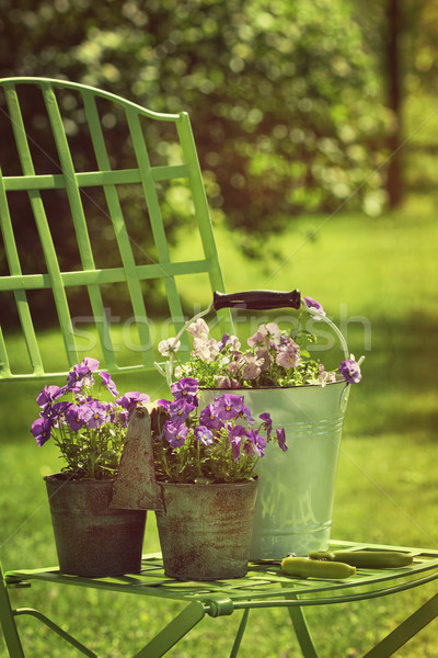 Primăvară grădină scaun mobilier camera de zi plante Imagine de stoc © Sandralise