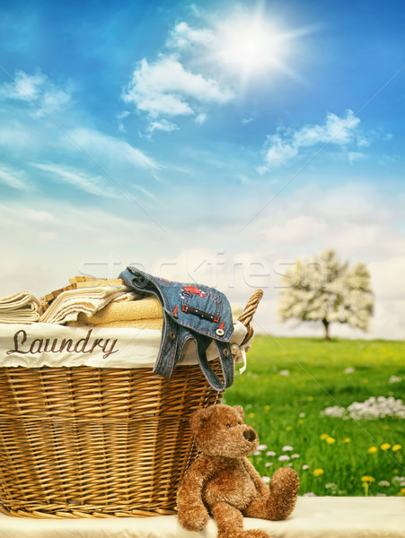 Wäschekorb Kleidung blauer Himmel Haus Arbeit Stock foto © Sandralise