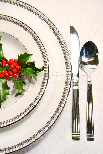 Ezüst tányér étel asztal piros kés Stock fotó © Sandralise