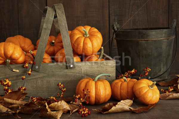 Small pumpkins in wooden box with leaves Stock photo © Sandralise