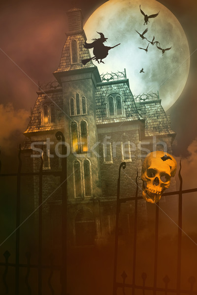 Skulls and Skeletons with creepy house in background Stock photo © Sandralise