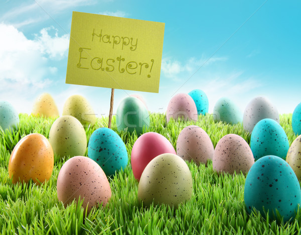 Colorful Easter eggs with sign in a field Stock photo © Sandralise