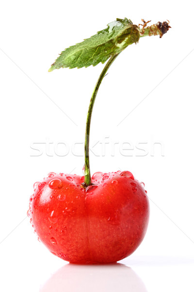 Fresh red cherry isolated on white Stock photo © Sandralise