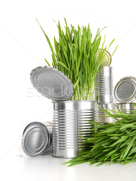 Wheatgrass in aluminium cans on white Stock photo © Sandralise