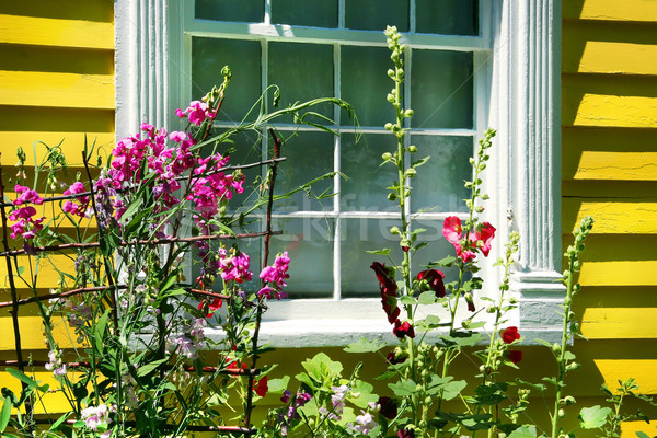 Old cottage with summer garden Stock photo © Sandralise