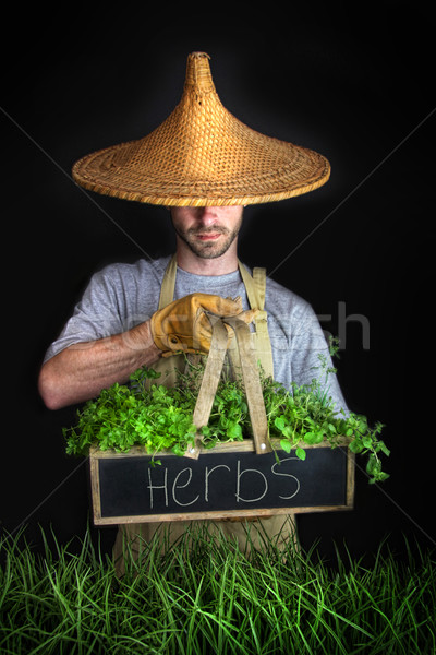Man with Asian hat gardening  Stock photo © Sandralise