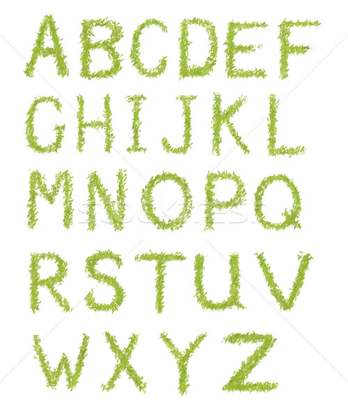 Foto stock: Alfabeto · cartas · hierba · verde · aislado · blanco · primavera